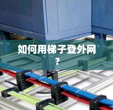 如何用梯子登外网？