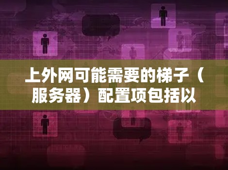 上外网可能需要的梯子（服务器）配置项包括以下内容