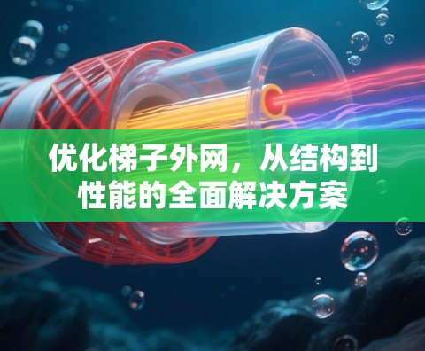 优化梯子外网，从结构到性能的全面解决方案