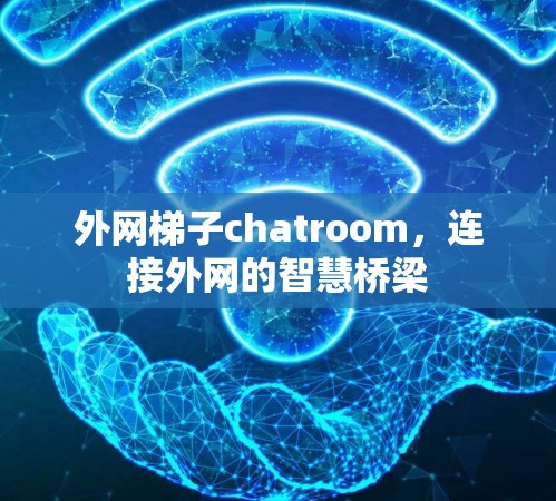 外网梯子chatroom,连接外网的智慧桥梁