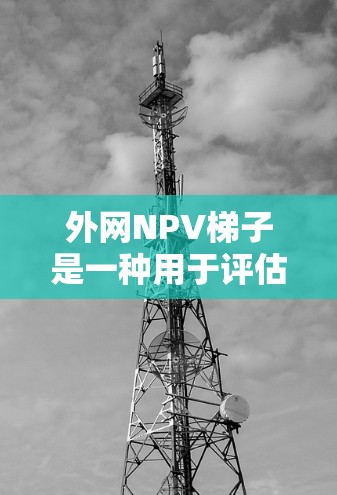外网NPV梯子是一种用于评估外网项目财务可行性的方法,帮助企业在合理的投资预算内,尽可能多地选择高回报率项目。以下是外网NPV梯子的详细解释