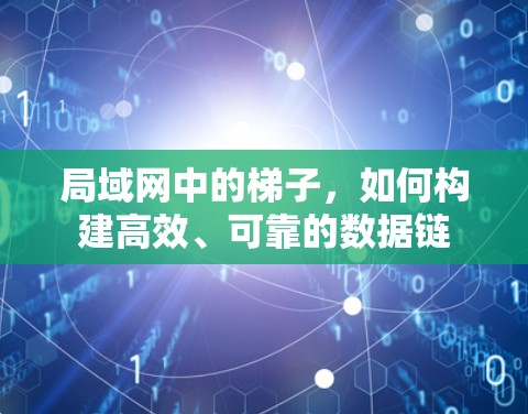 局域网中的梯子，如何构建高效、可靠的数据链