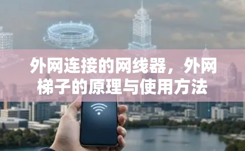 外网连接的网线器,外网梯子的原理与使用方法