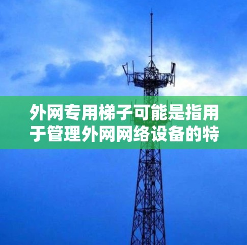 外网专用梯子可能是指用于管理外网网络设备的特定工具或设备。以下是一些可能的解释和建议