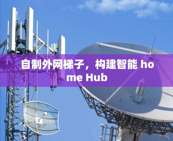 自制外网梯子,构建智能 home Hub