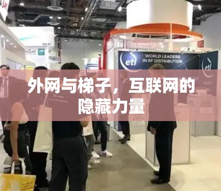 外网与梯子，互联网的隐藏力量