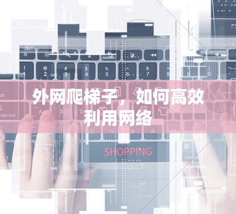 外网爬梯子，如何高效利用网络