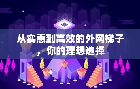 从实惠到高效的外网梯子，你的理想选择