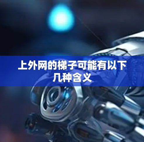 上外网的梯子可能有以下几种含义