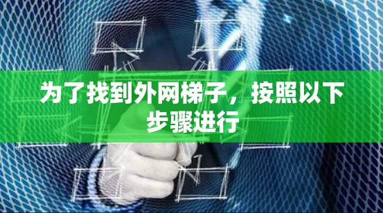 为了找到外网梯子，按照以下步骤进行